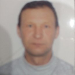 , 53 , 
