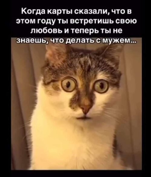  -   .  ˨     .....   ...