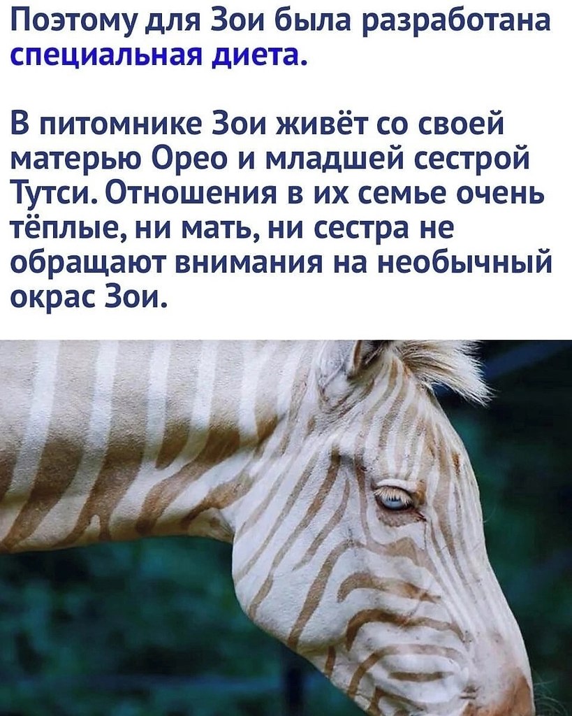 ,  - 3