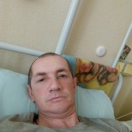 , 37 , 