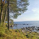 ���� �������, ������������ - ��������� 10 ������� 2024 � ������ ���� ����������