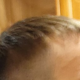 , , 29 