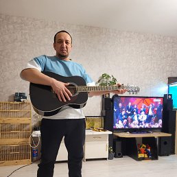 , 37, 