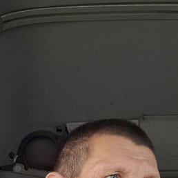 , 55 , 