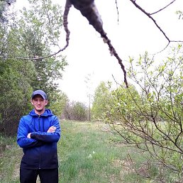 �����, ���������, 37 ���