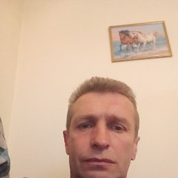  ,  - , 52  -  6  2025