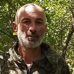 ������, 43 ����, ���������