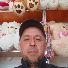 , 49, -