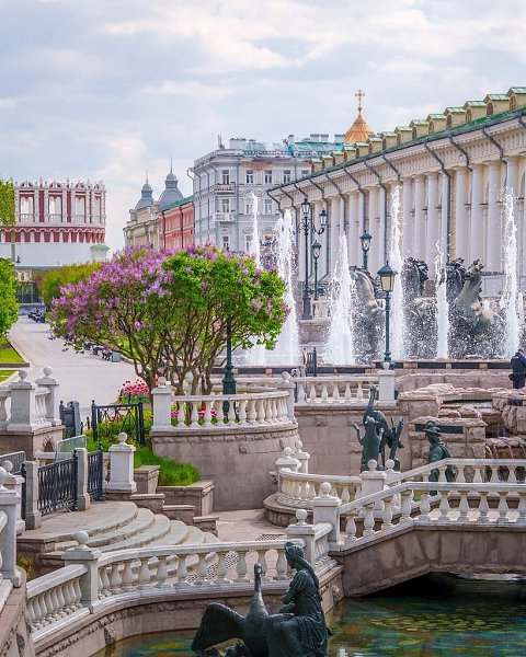 Цветение в Александровском саду и на Манежной площади.Фото: kobektas - 4