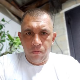 , 41, 