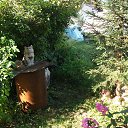 ���� �����, ����������� - ��������� 12 ������� 2024 � ������ ���� ����������