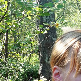 �����, ������������, 25 ���