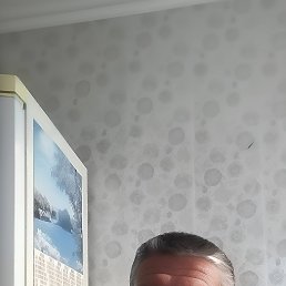 ���� ������, �����-���������, 49 ��� - ��������� 15 ������ 2024