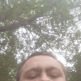 , 36, --