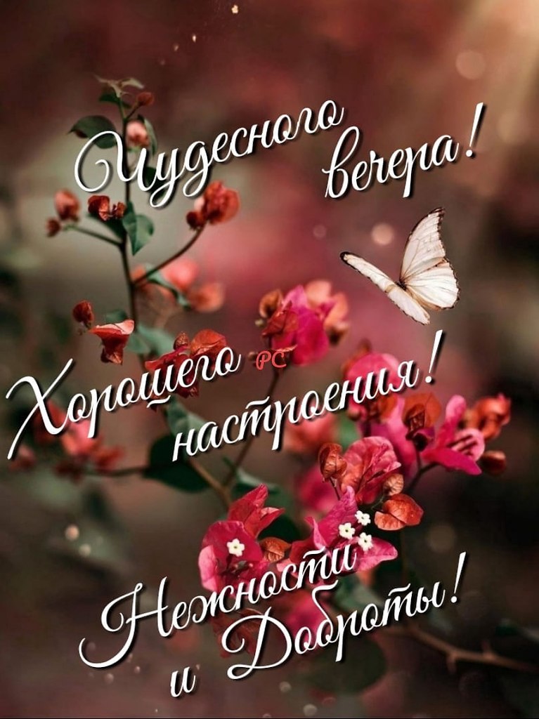   - 12  2025  20:09