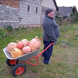 , 58, 