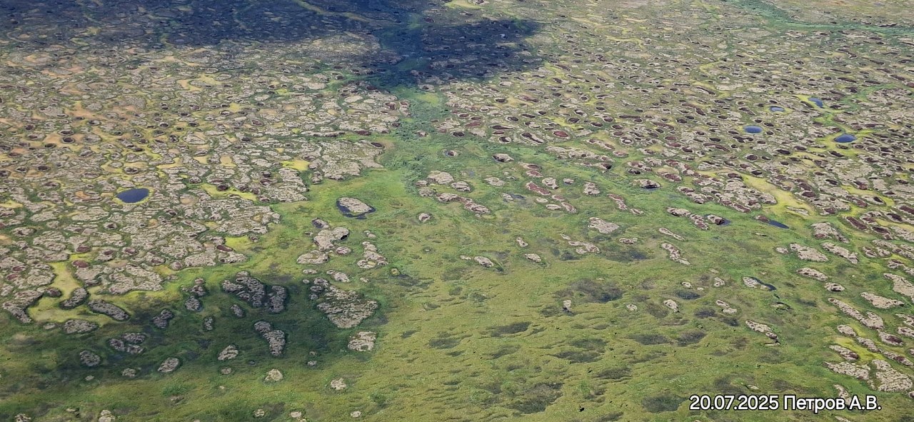 eepo-aa occ. oeeeca pa. op oo:epo ecap ecao (pepca ... - 6