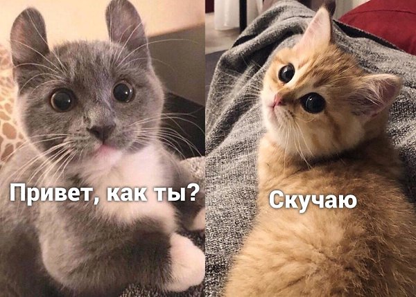  , )