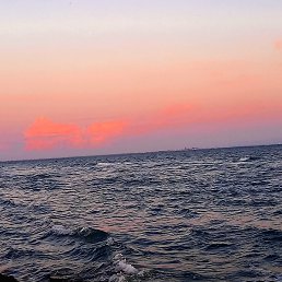 ����, ���������