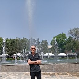 , 65, 