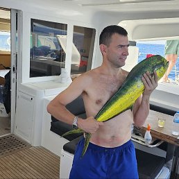 ����, �����, 39 ���