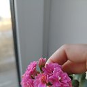  , , 38  -  8  2025    