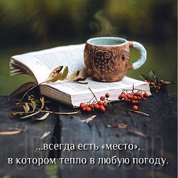 ���� ����, ���������� ����� - ��������� 15 ������� 2025