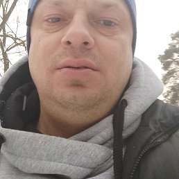 �����, ���������