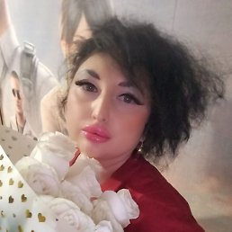 ��������, ������, 41 ���