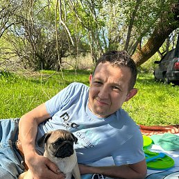 �����, ����, 43 ����