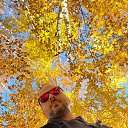  ,  , 46  -  11  2025    