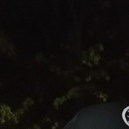 Karadas80, ������