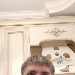 ������, 33 ����, ������������