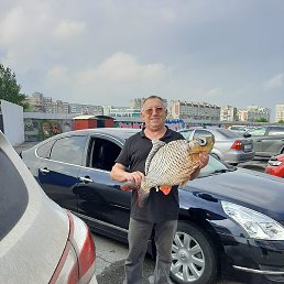 ������, ����, 61 ���