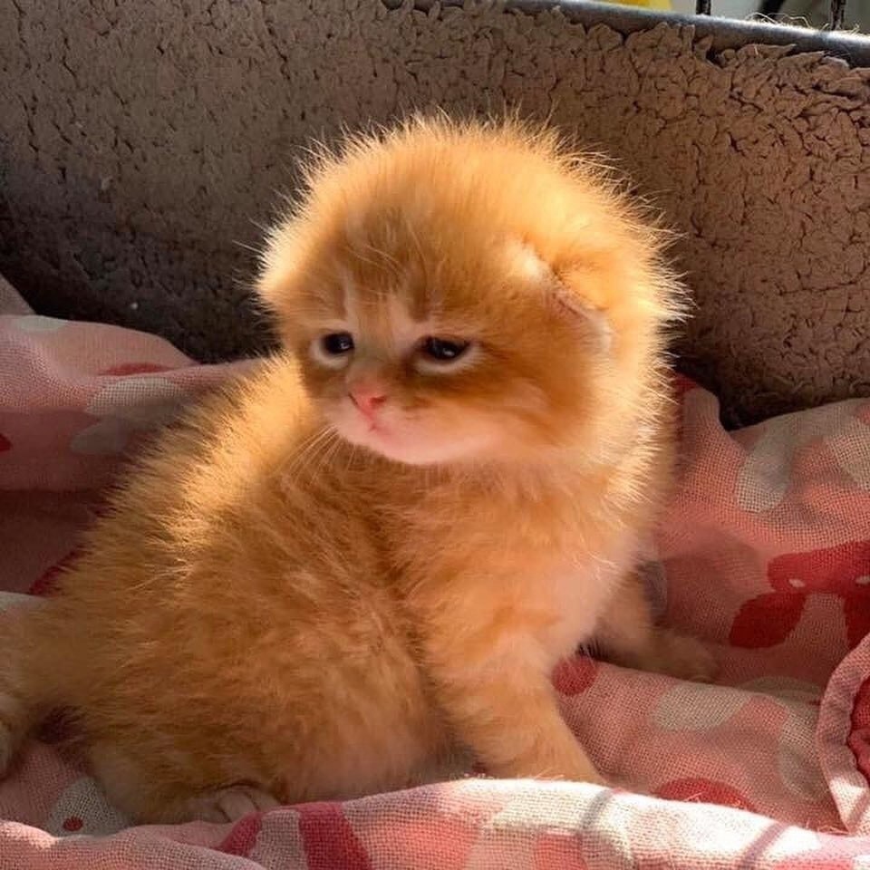       :3 - 2