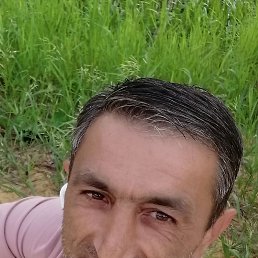 �����, 44 ����, ���������