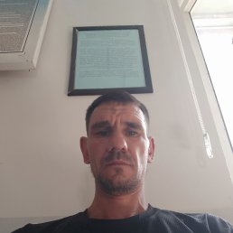 ���� ������, �����, 42 ���� - ��������� 28 ���� 2025