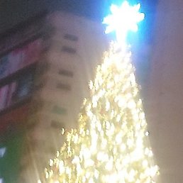 ����, �������, 47 ���