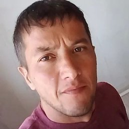 ����, ������, 33 ����