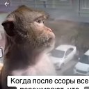  ,  -  27  2024    