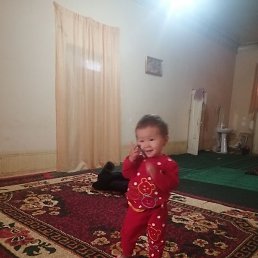 �����, �������, 49 ���