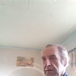 , 57, 