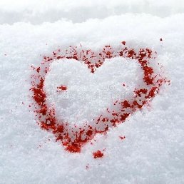 ����, �����-���������, 22 ����