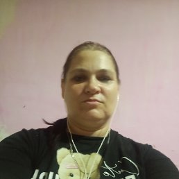, 44, 