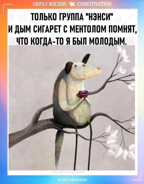 Co-Motivation.... . - 27  2025  12:07