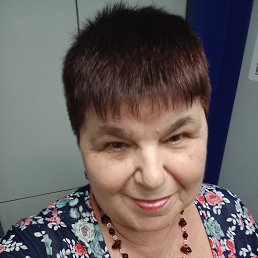 ���� ������, ������, 64 ���� - ��������� 24 ���� 2026