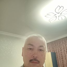 , 61, 