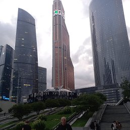 , 54, 