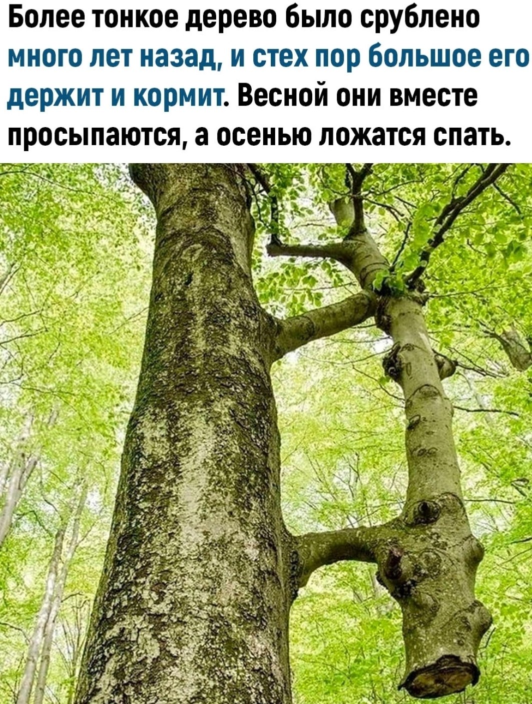  - 19  2024  20:03