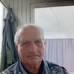 , 65, 